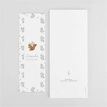 Remerciement naissance écureuil - Dos du faire-part