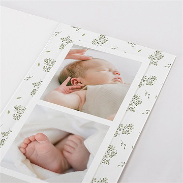 Remerciement naissance écureuil - Détail du faire-part