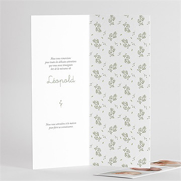 Remerciement naissance écureuil - Détail du faire-part