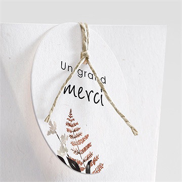 Boîte de dragées mariage pampa étui - Détail de la boîte