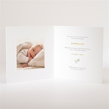 Faire-part naissance le nounours - Intérieur du faire-part