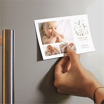 Remerciement naissance le nounours - Mise en situation