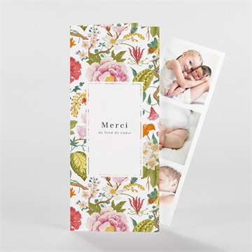 Remerciement naissance coloré