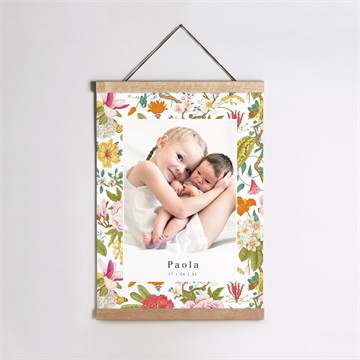 Affiche naissance coloré