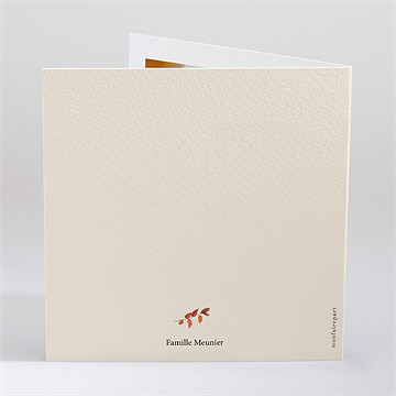 Remerciement décès belle esperance plié - Dos du faire-part