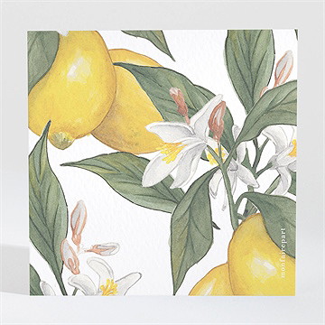 Carton réponse mariage citron - Dos du carton