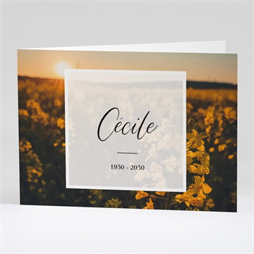 Carte pliée - paysage