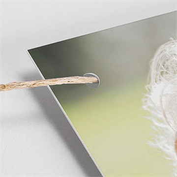 Guirlande baptême pele mele photo original - Vue zoomée