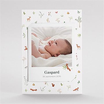 Faire-part naissance gaiement duo