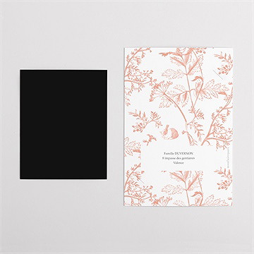 Faire-part naissance notre joie duo - Dos du faire-part