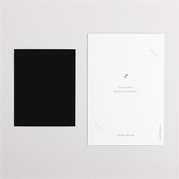 Faire-part naissance mon petit frère - Dos du faire-part