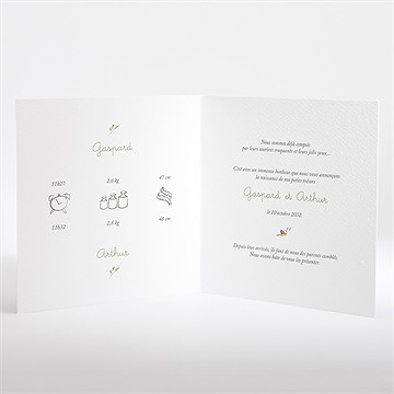 Faire-part naissance famille renard jumeaux - Intérieur du faire-part