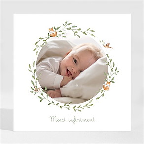 Remerciement naissance famille renard