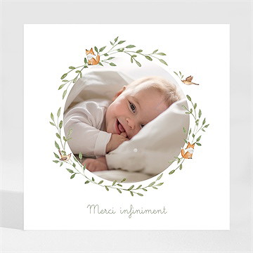 Remerciement naissance famille renard