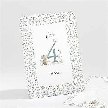 Carte étape bébé ferme - Mise en situation