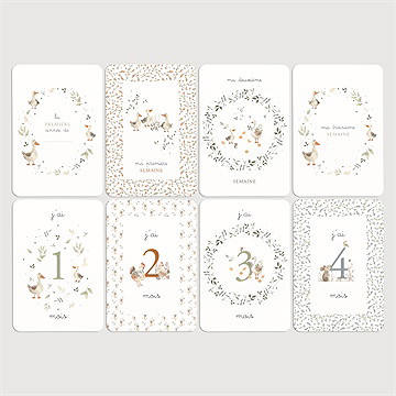 Carte étape bébé ferme - Vue d'ensemble