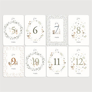 Carte étape bébé ferme - Vue d'ensemble