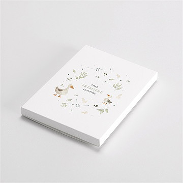 Carte étape bébé ferme - Vue de la boîte