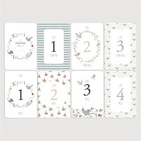 Carte étape bébé marin