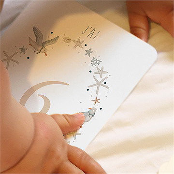 Carte étape bébé marin - Vue d'ensemble