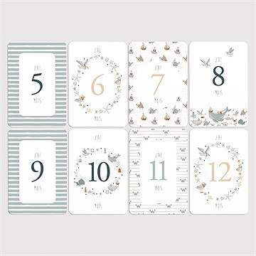 Carte étape bébé marin - Vue d'ensemble
