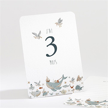 Carte étape bébé marin - Mise en situation