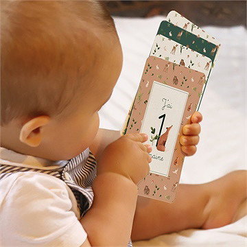 Carte étape bébé dans les bois - Mise en situation