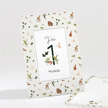Carte étape bébé dans les bois - Vue d'ensemble