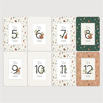 Carte étape bébé dans les bois - Vue d'ensemble