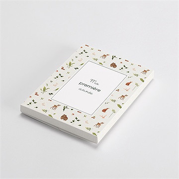 Carte étape bébé dans les bois - Vue de la boîte