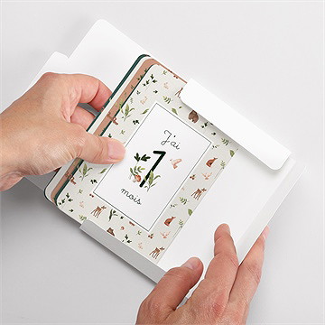 Carte étape bébé dans les bois - Vue boîte ouverte