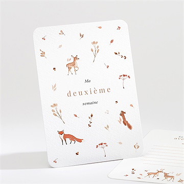 Carte étape bébé animaux forêt - Mise en situation