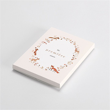 Carte étape bébé animaux forêt - Vue de la boîte