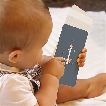 Carte étape bébé animaux hiver - Mise en situation