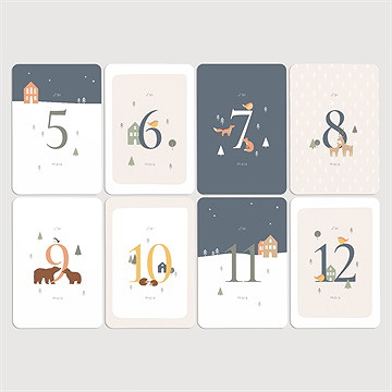 Carte étape bébé animaux hiver - Vue d'ensemble