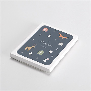 Carte étape bébé animaux hiver - Vue de la boîte