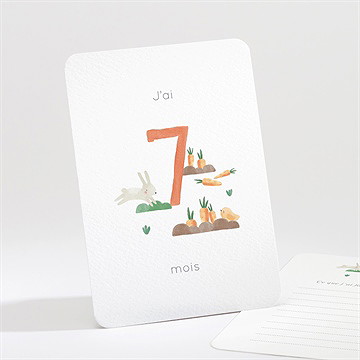 Carte étape bébé à la ferme - Vue d'ensemble