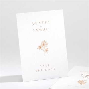 Save the Date mariage passionnément