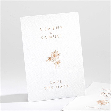 Save the Date mariage passionnément