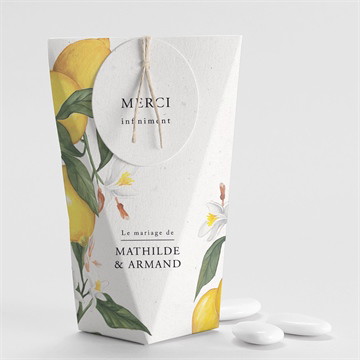 Boîte de dragées mariage citron étui