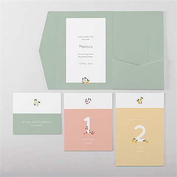 Faire-part naissance citrons et fruits - Vue d'ensemble intérieur