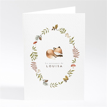 Faire-part naissance mon renardeau