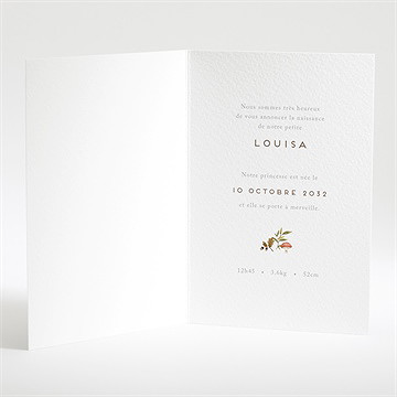 Faire-part naissance mon renardeau - Intérieur du faire-part