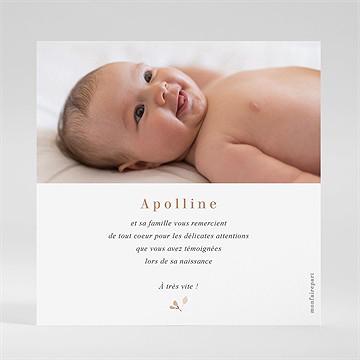 Remerciement naissance ronde de la forêt - Dos de la carte