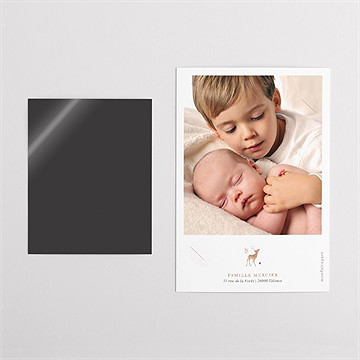 Faire-part naissance ronde de la forêt duo - Dos du faire-part