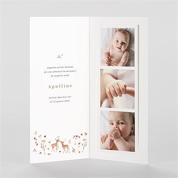 Faire-part naissance ronde de la forêt photomaton - Intérieur du faire-part