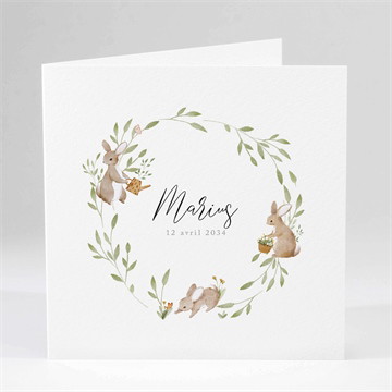 Faire-part naissance petits lapins