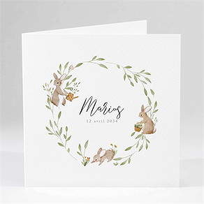 Faire-part naissance petits lapins