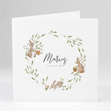 Faire-part naissance petits lapins