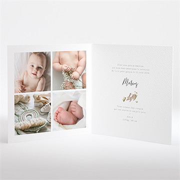 Faire-part naissance petits lapins - Intérieur du faire-part